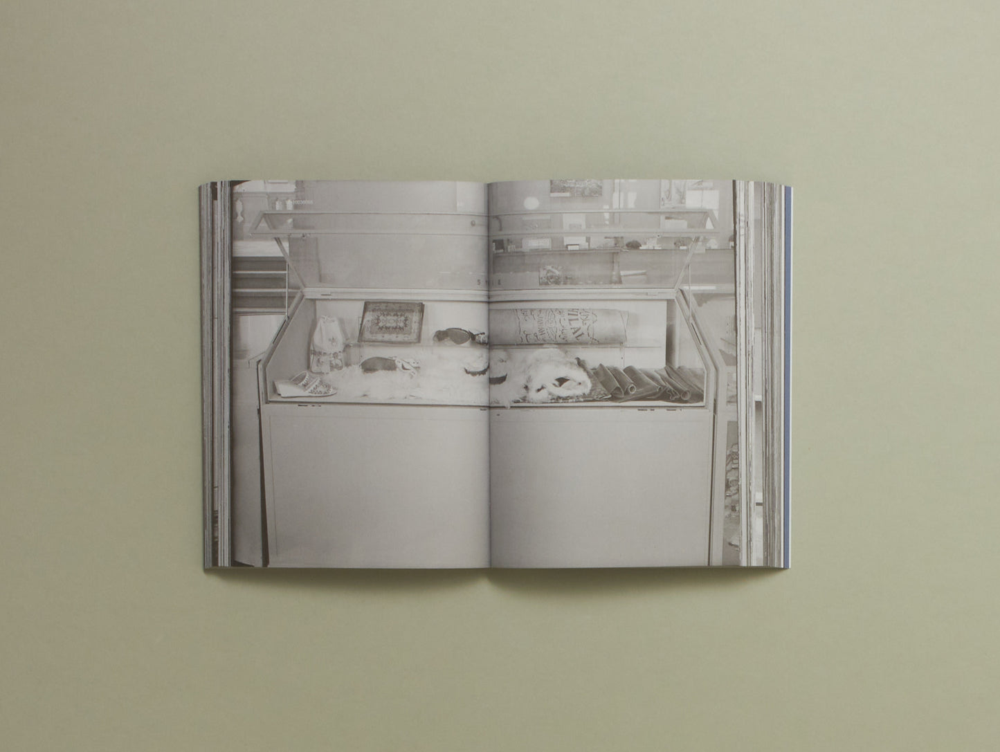 Tamarah Kerr de Haan, Clémentine Deliss and Mirjam Shatanawi, Emptying the Shelves