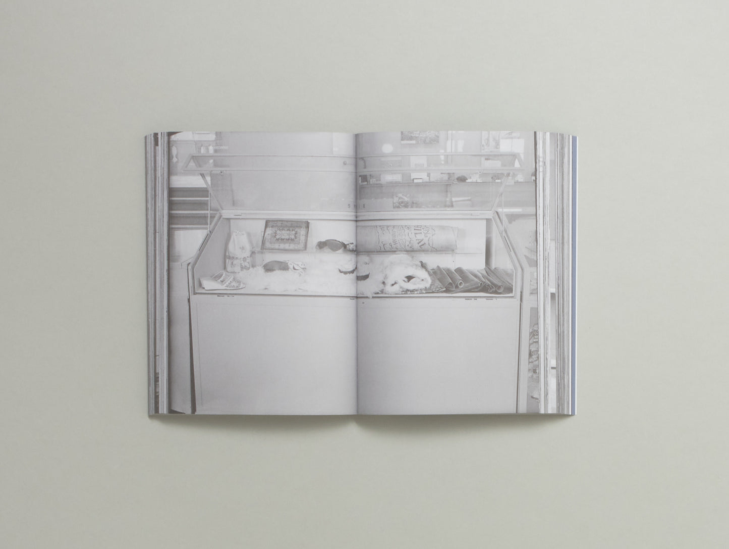 Tamarah Kerr de Haan, Clémentine Deliss and Mirjam Shatanawi, Emptying the Shelves