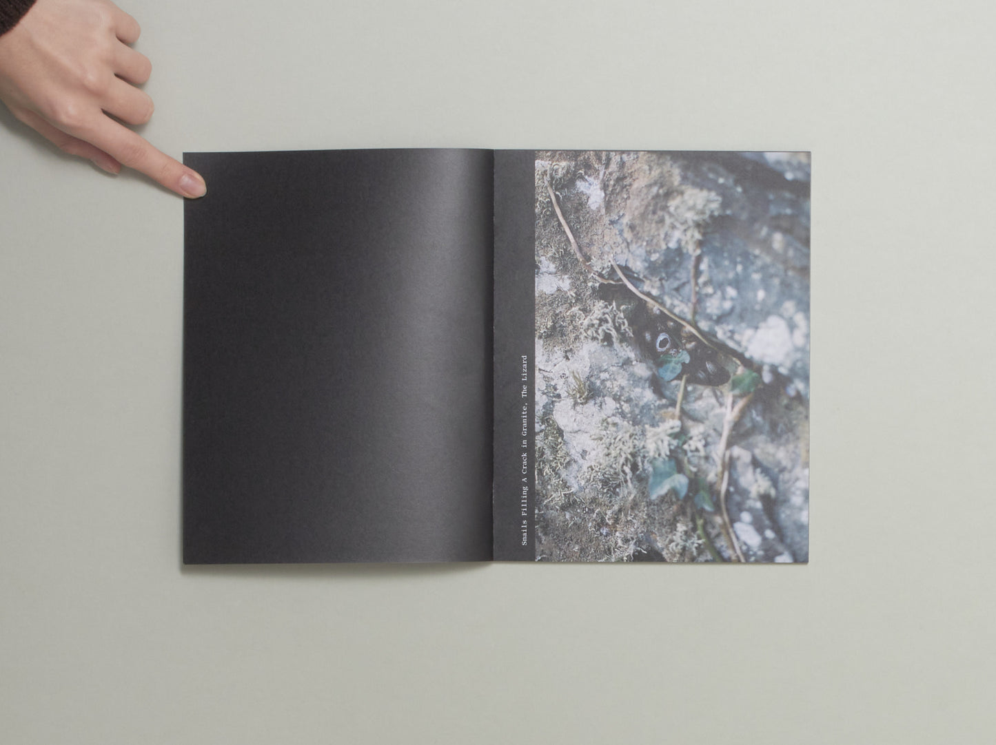 Rosie Kliskey, An Daras / Portals