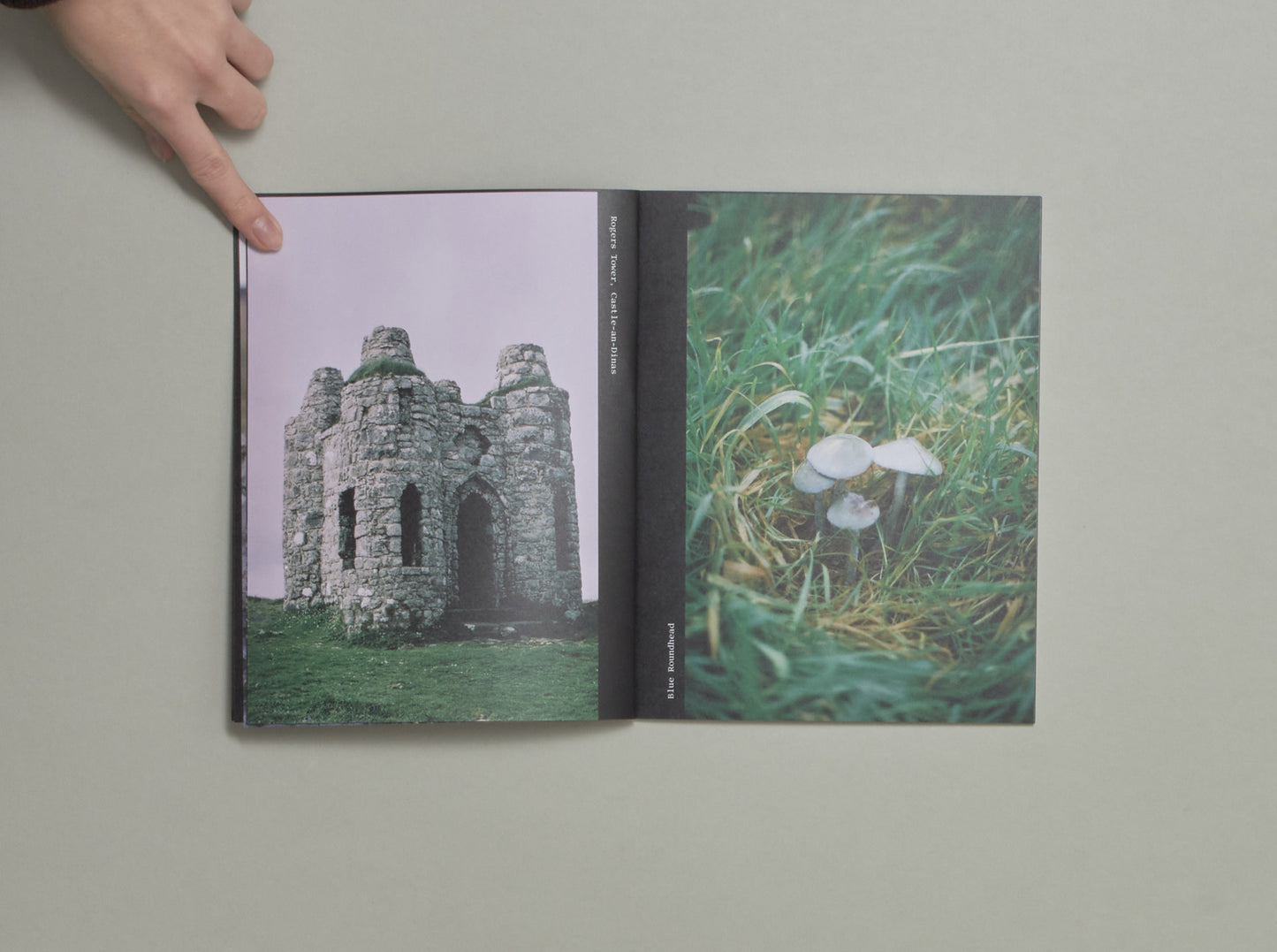 Rosie Kliskey, An Daras / Portals