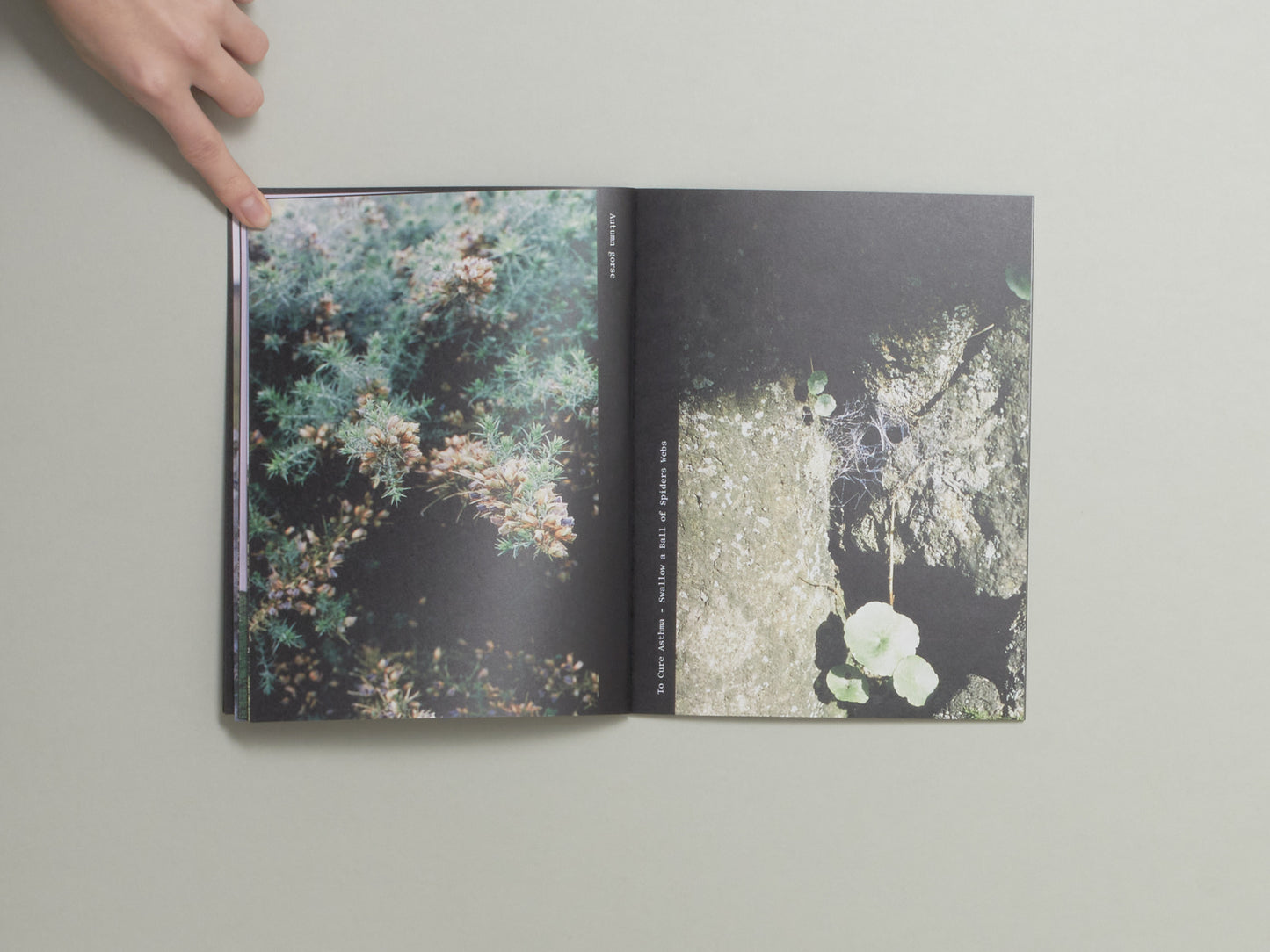 Rosie Kliskey, An Daras / Portals