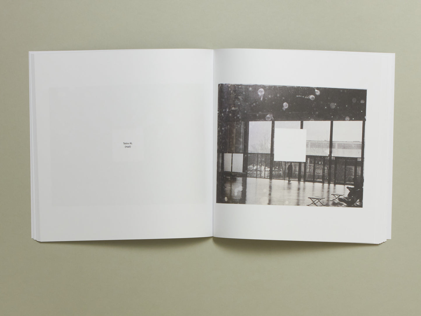 Jan S. Hansen, Tetra AL