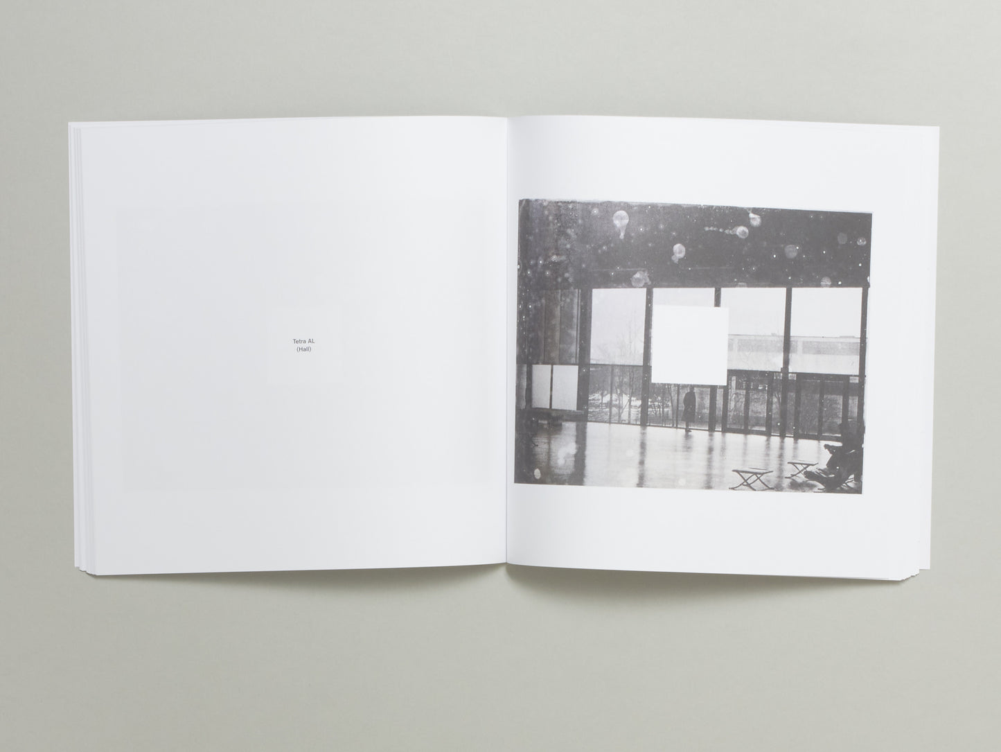 Jan S. Hansen, Tetra AL