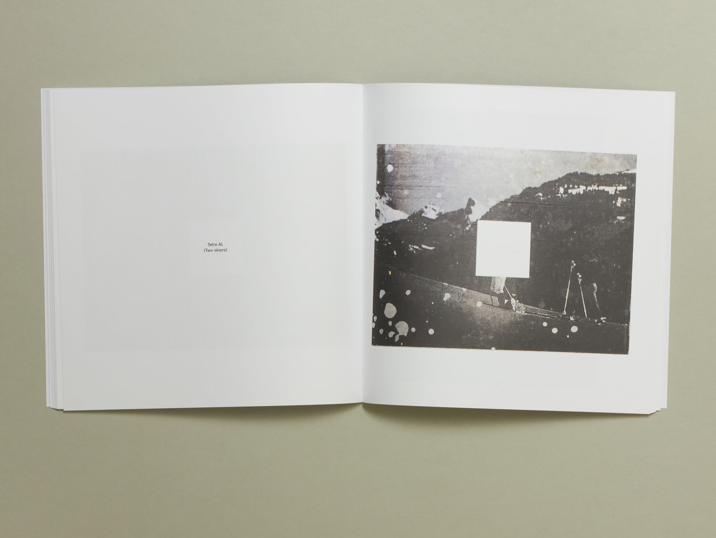 Jan S. Hansen, Tetra AL