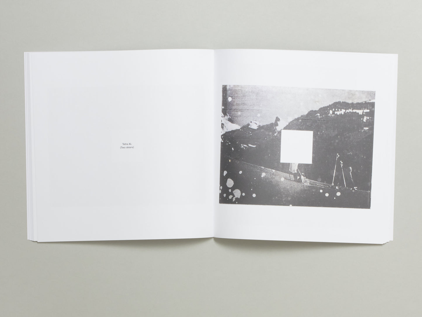 Jan S. Hansen, Tetra AL