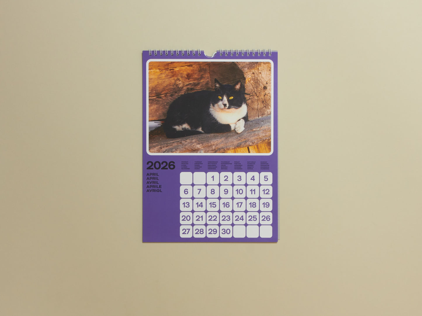 Poney & Phyllis Ma, Cats of the Alps: 2026 Catlendar