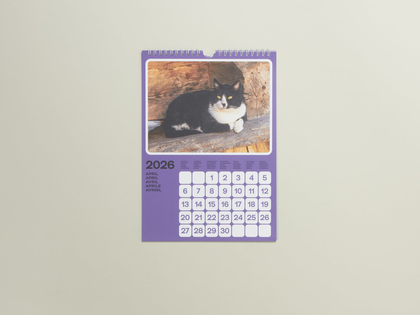 Poney & Phyllis Ma, Cats of the Alps: 2026 Catlendar