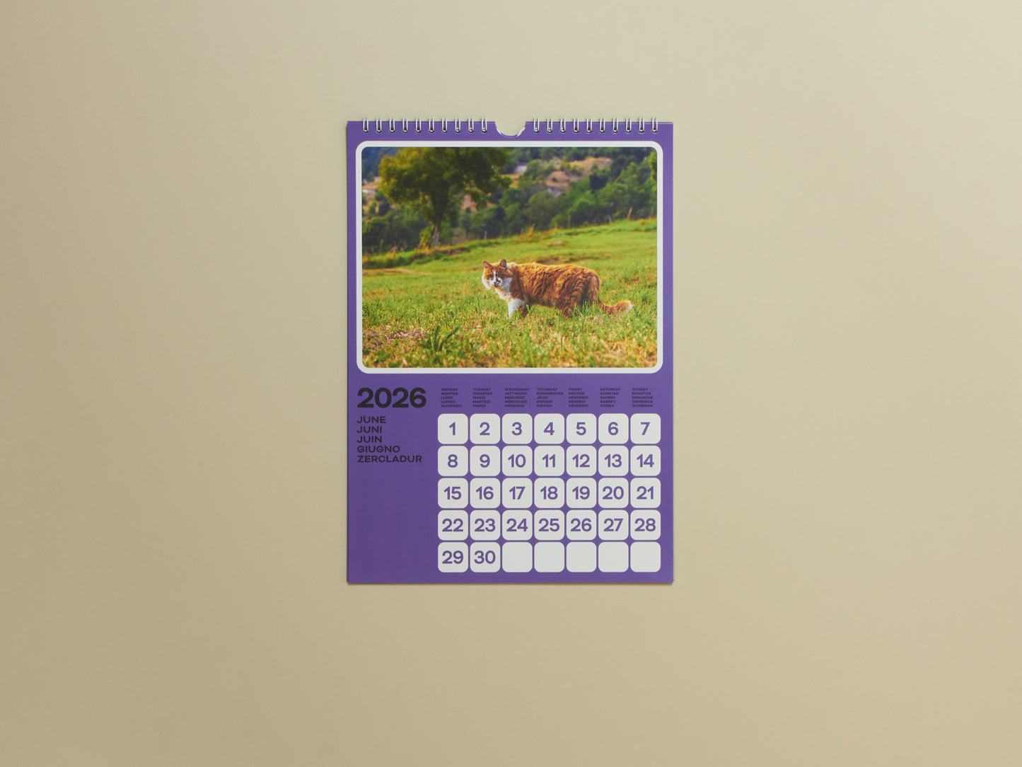 Poney & Phyllis Ma, Cats of the Alps: 2026 Catlendar