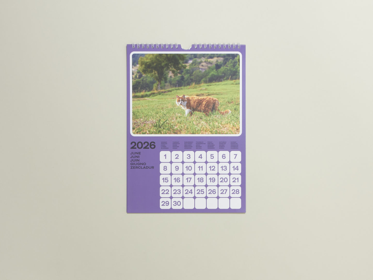 Poney & Phyllis Ma, Cats of the Alps: 2026 Catlendar