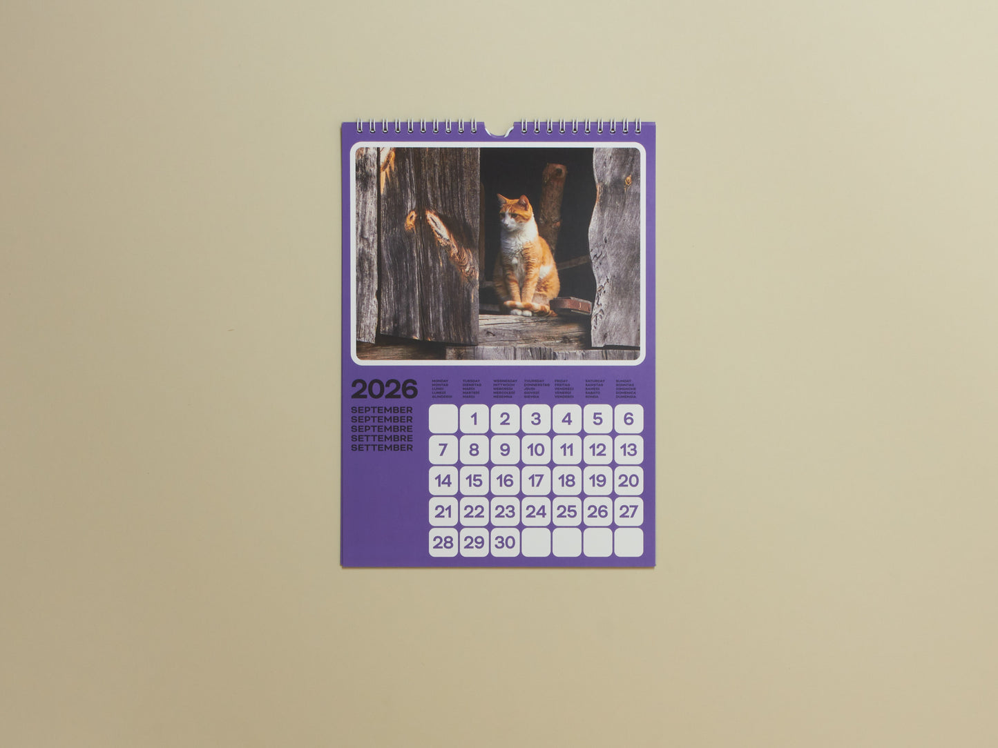 Poney & Phyllis Ma, Cats of the Alps: 2026 Catlendar
