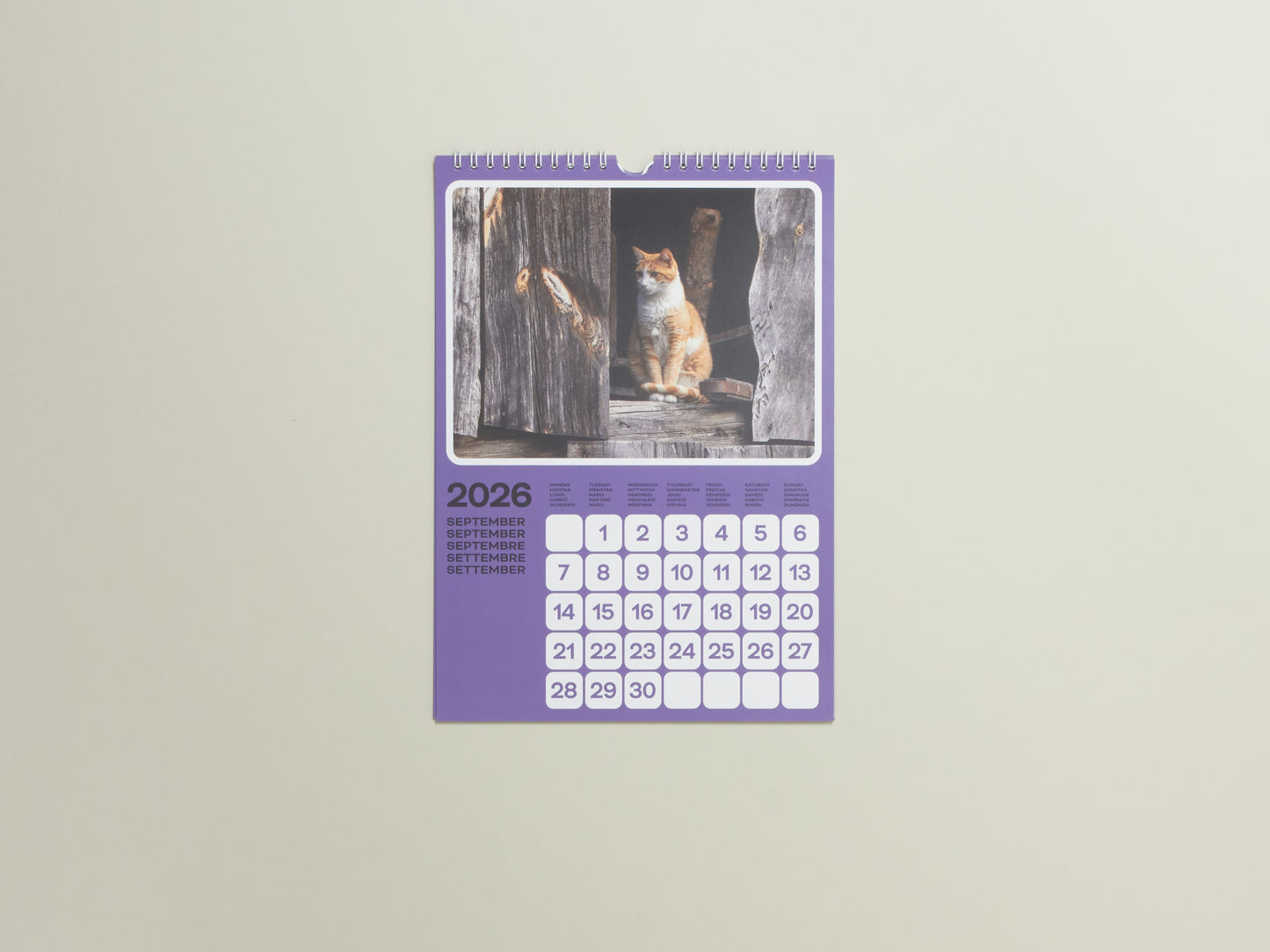 Poney & Phyllis Ma, Cats of the Alps: 2026 Catlendar