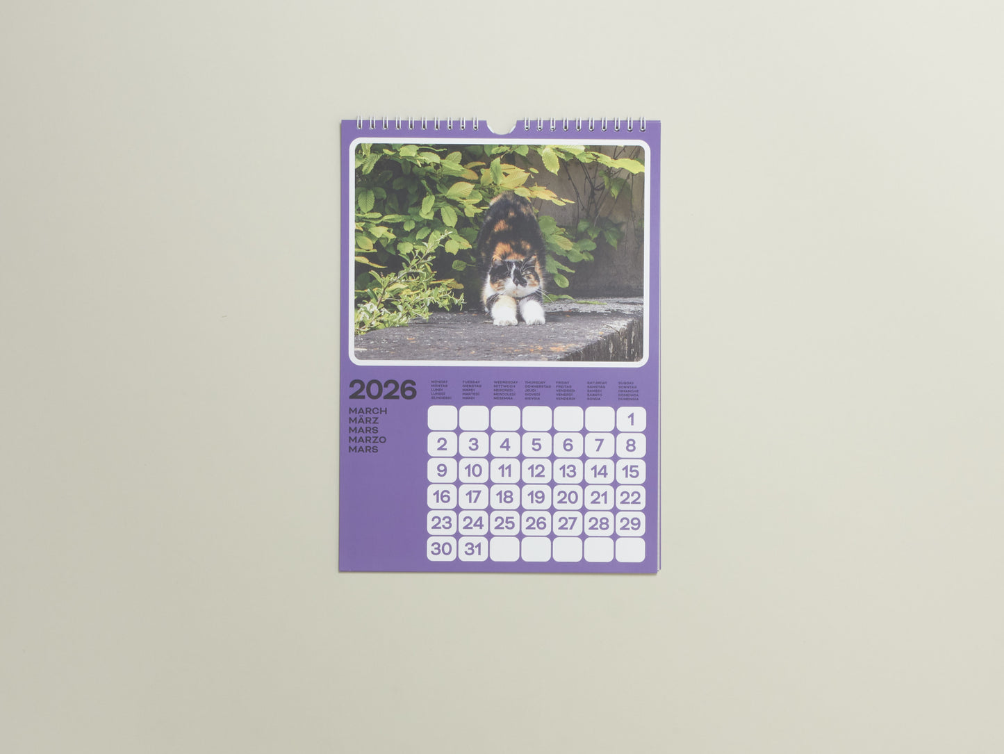 Poney & Phyllis Ma, Cats of the Alps: 2026 Catlendar