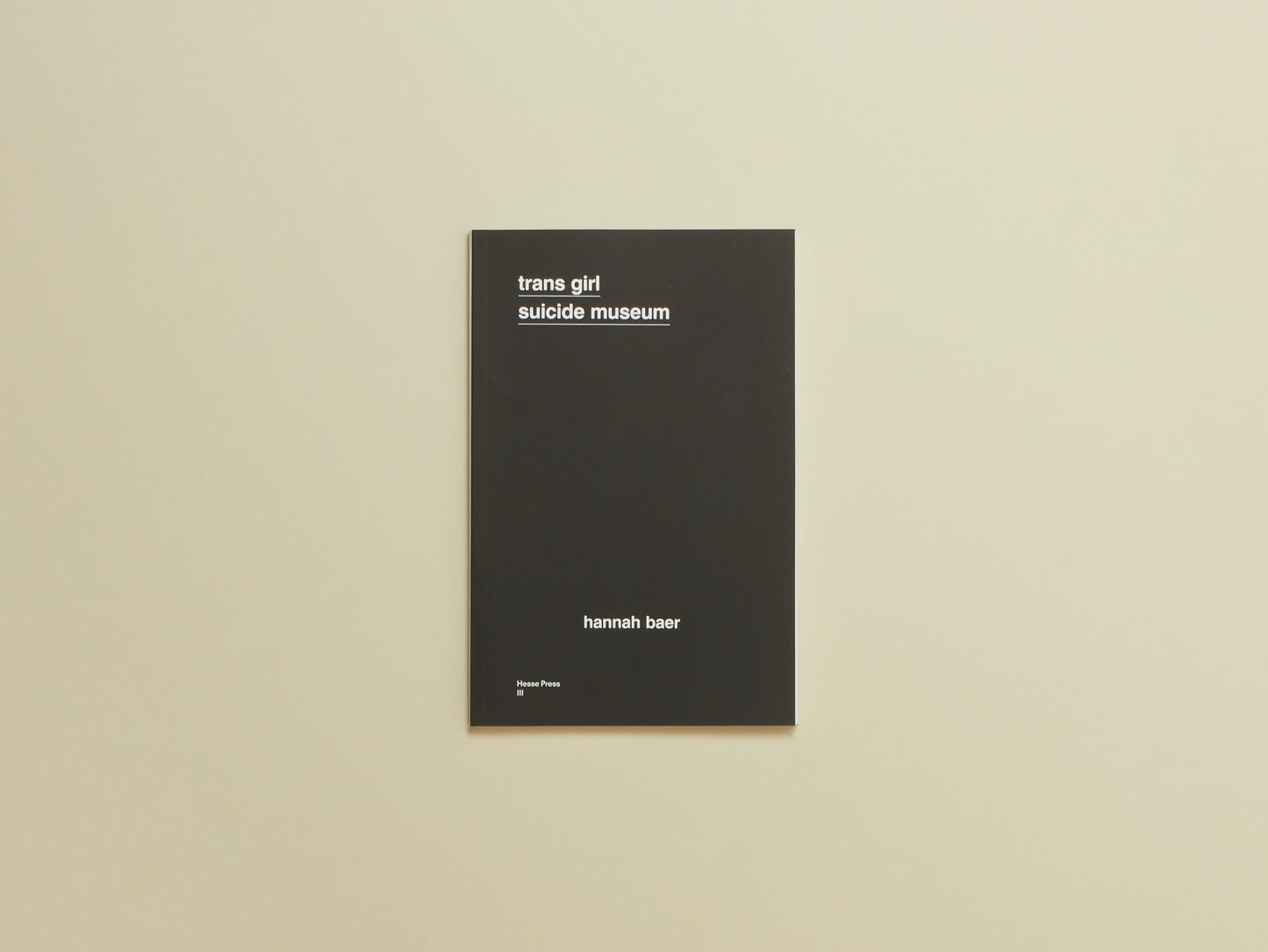 hannah baer, trans girl suicide museum