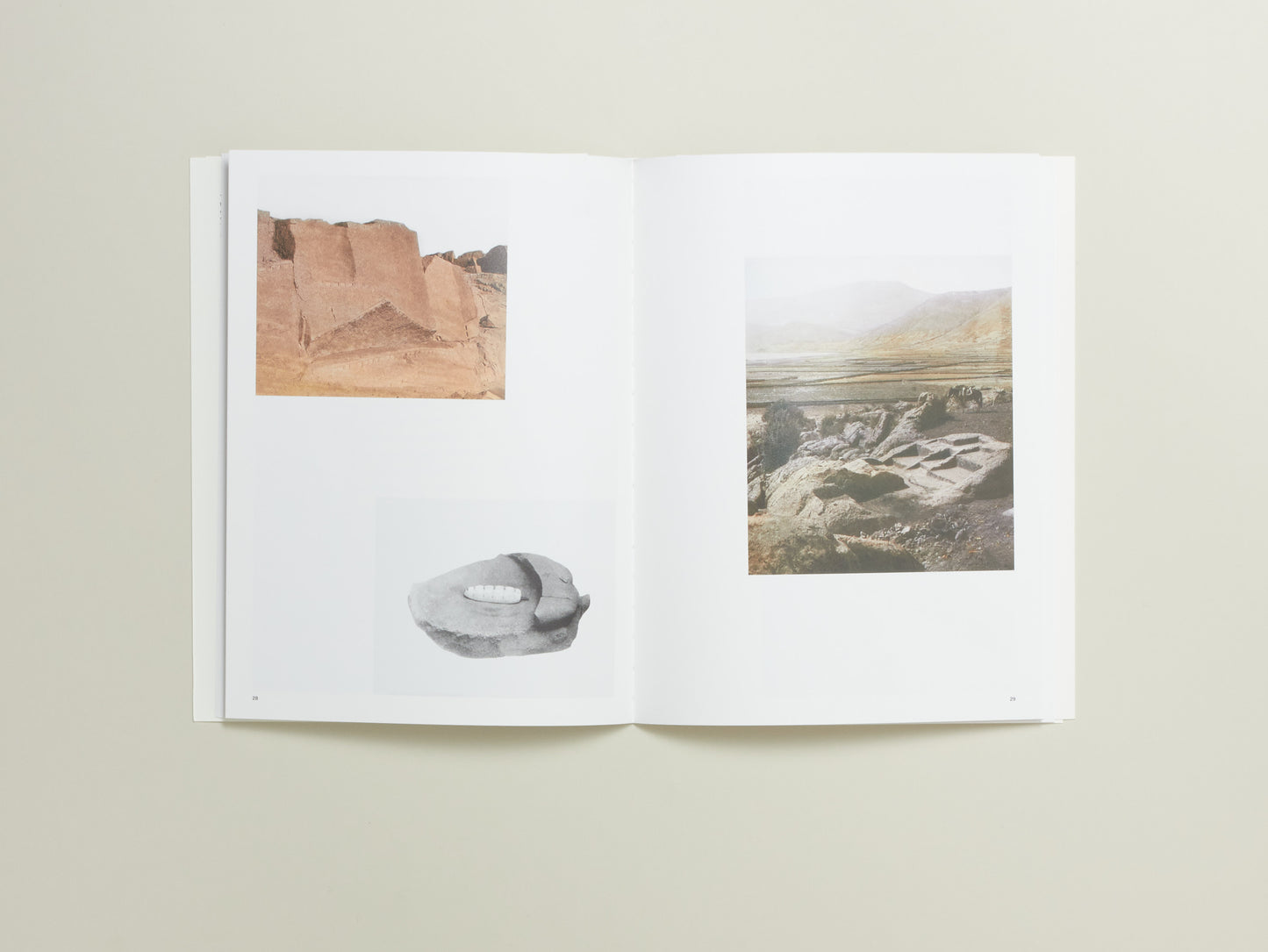 Carly Steinbrunn, A Matter of Chance