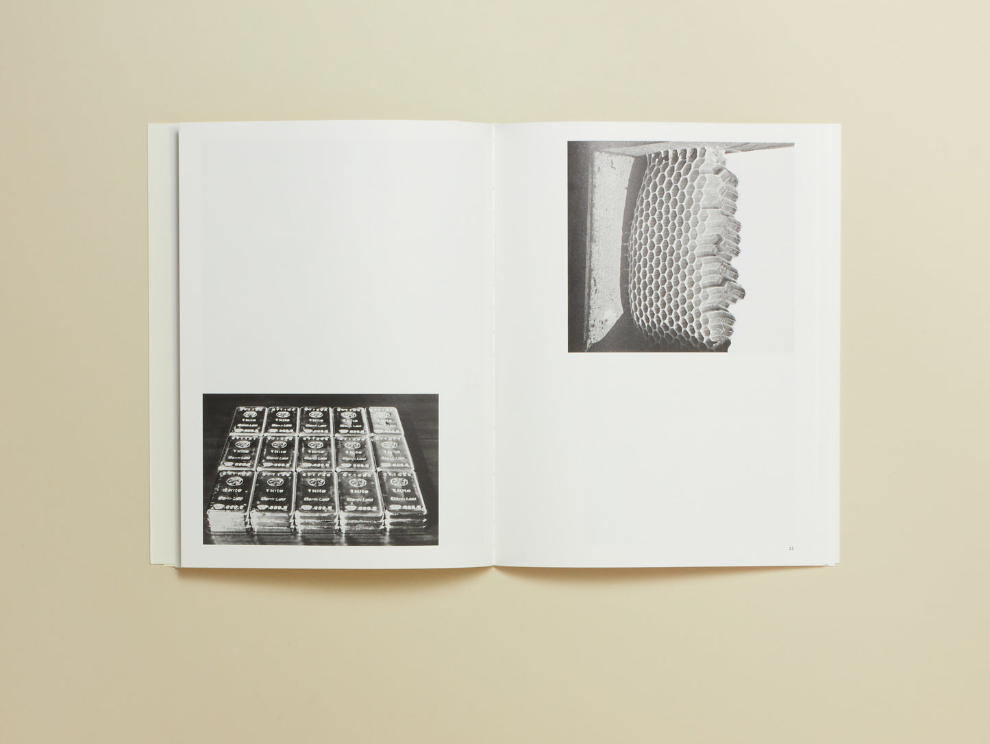 Carly Steinbrunn, A Matter of Chance