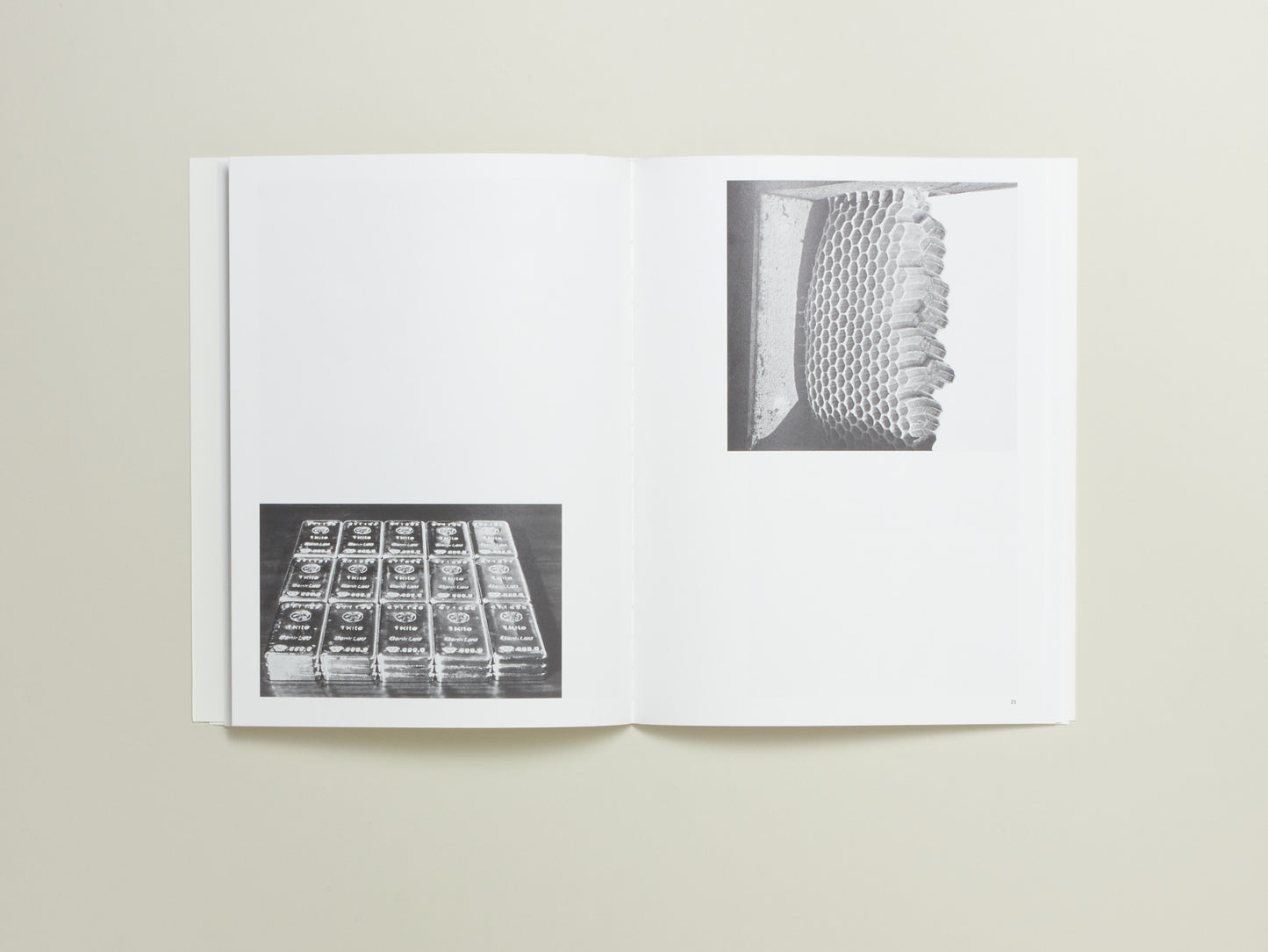 Carly Steinbrunn, A Matter of Chance