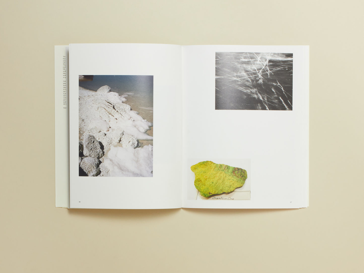 Carly Steinbrunn, A Matter of Chance