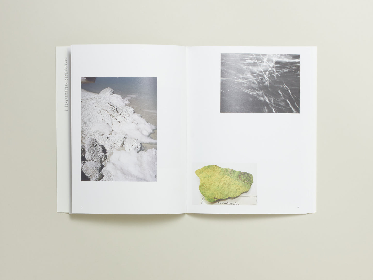 Carly Steinbrunn, A Matter of Chance