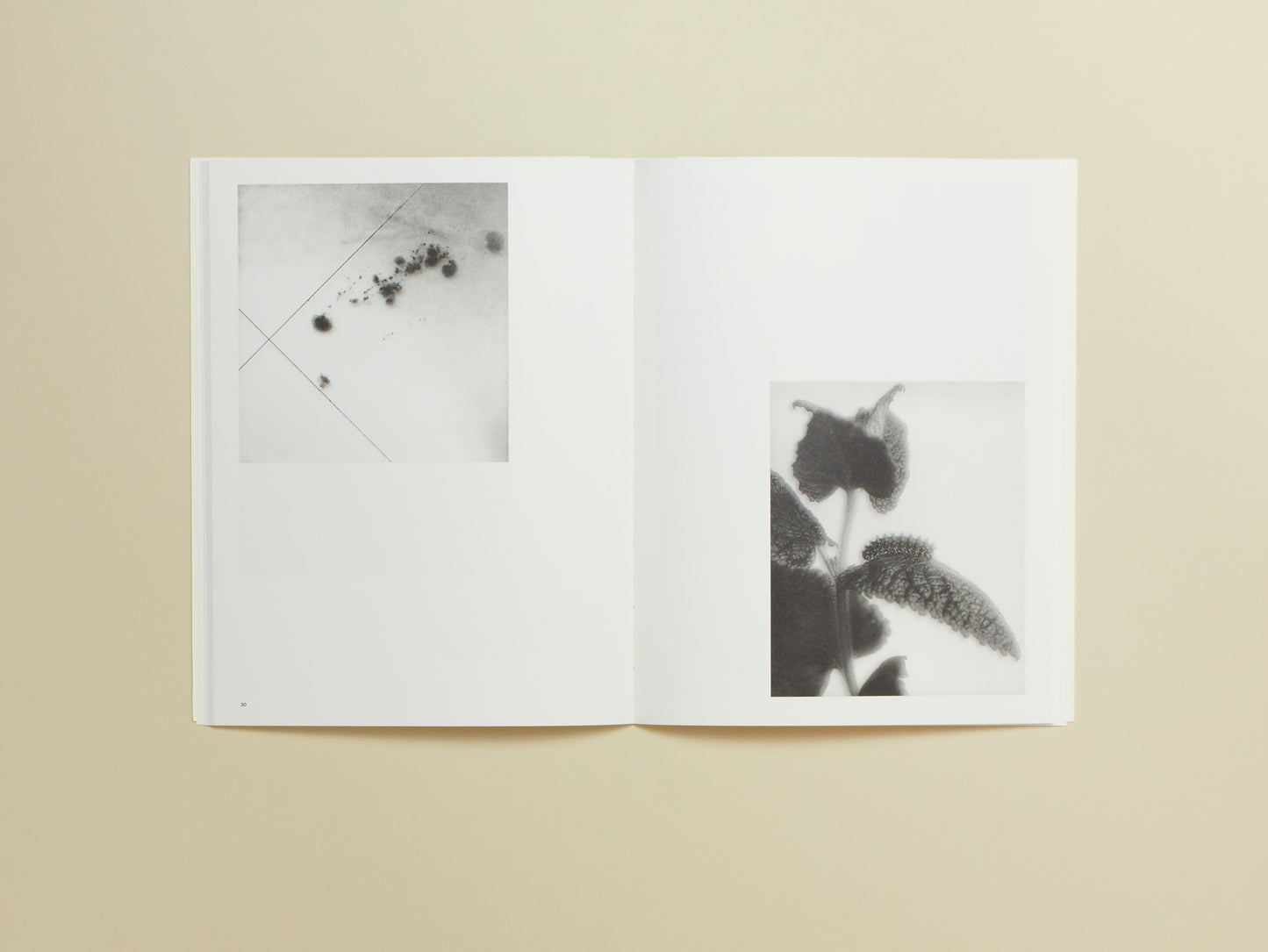 Carly Steinbrunn, A Matter of Chance