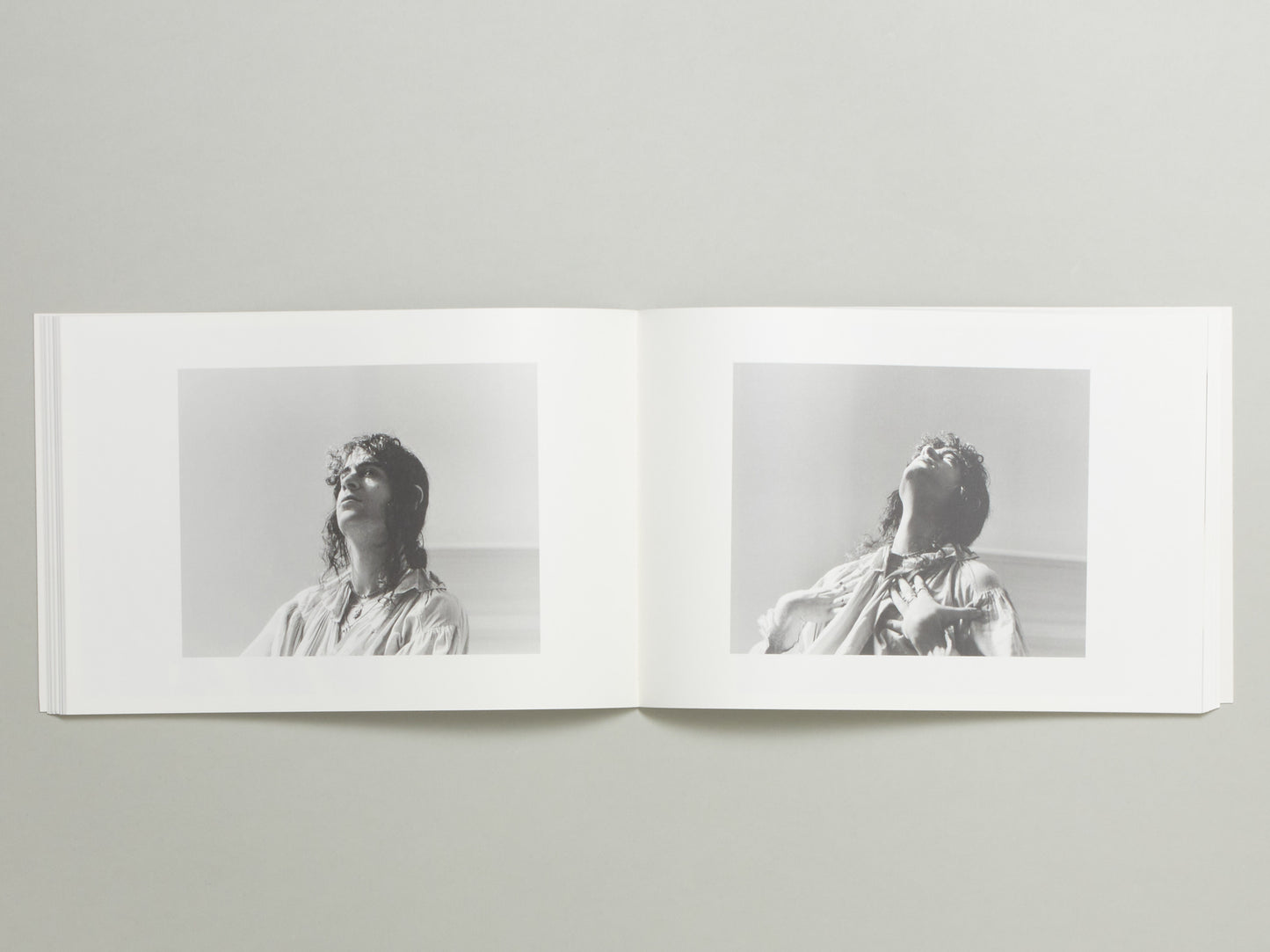 Steph Wilson, Gilded Lilies