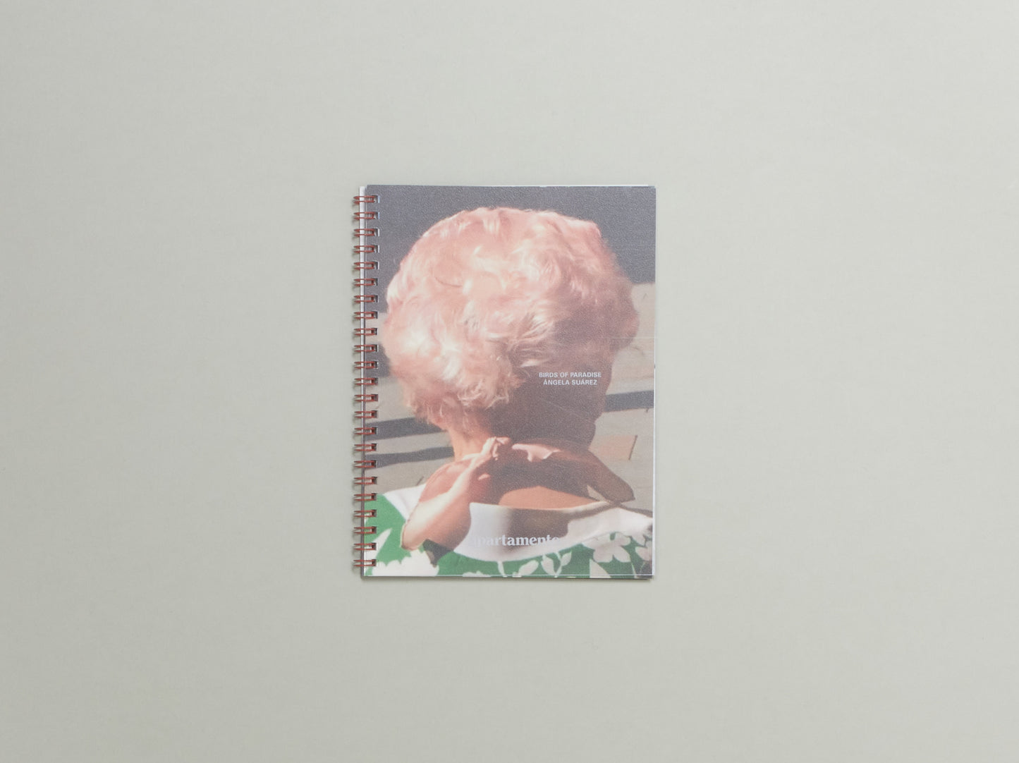 Birds of Paradise, Ángela Suárez