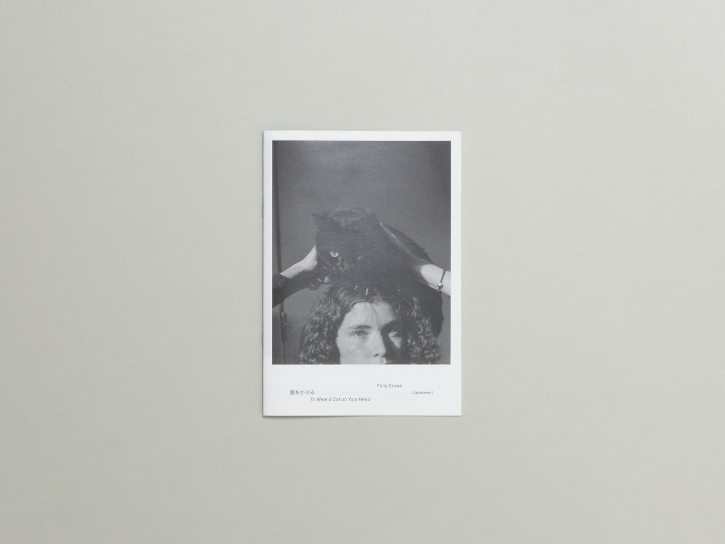 Polly Brown, N° 4 : To Wear a Cat on Your Head