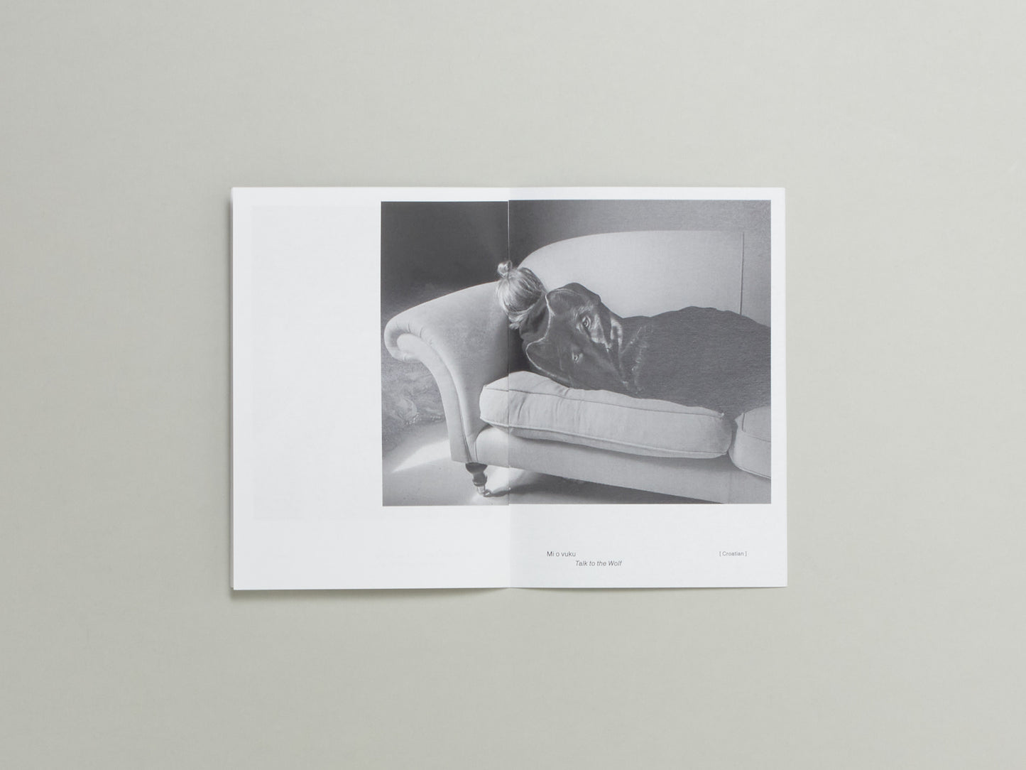 Polly Brown, N° 4 : To Wear a Cat on Your Head