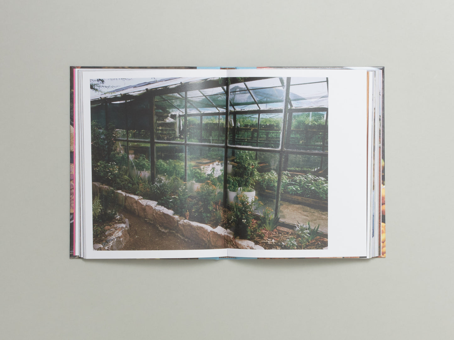 EL BAJÍO: Recipes & Wanderings Through Mexico's Heartland