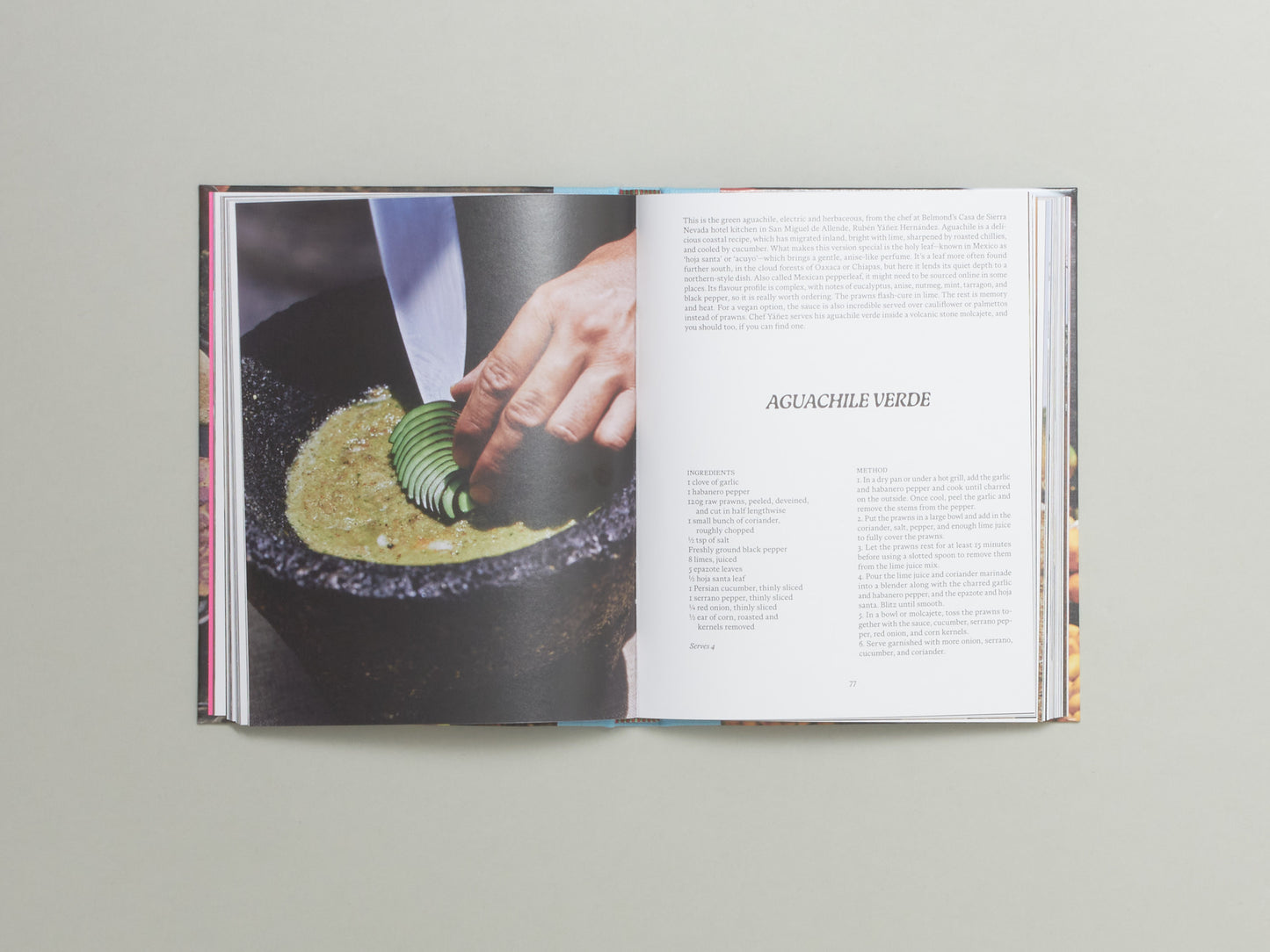 EL BAJÍO: Recipes & Wanderings Through Mexico's Heartland