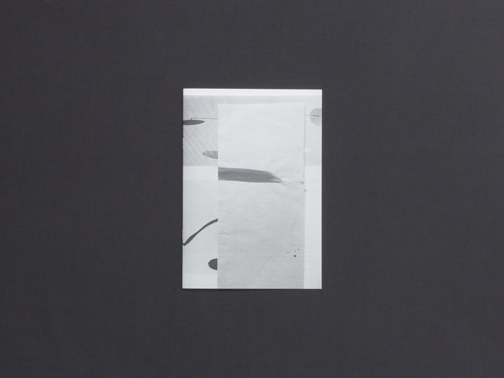 Rosemarie Auberson, N° 1 : Inhalt