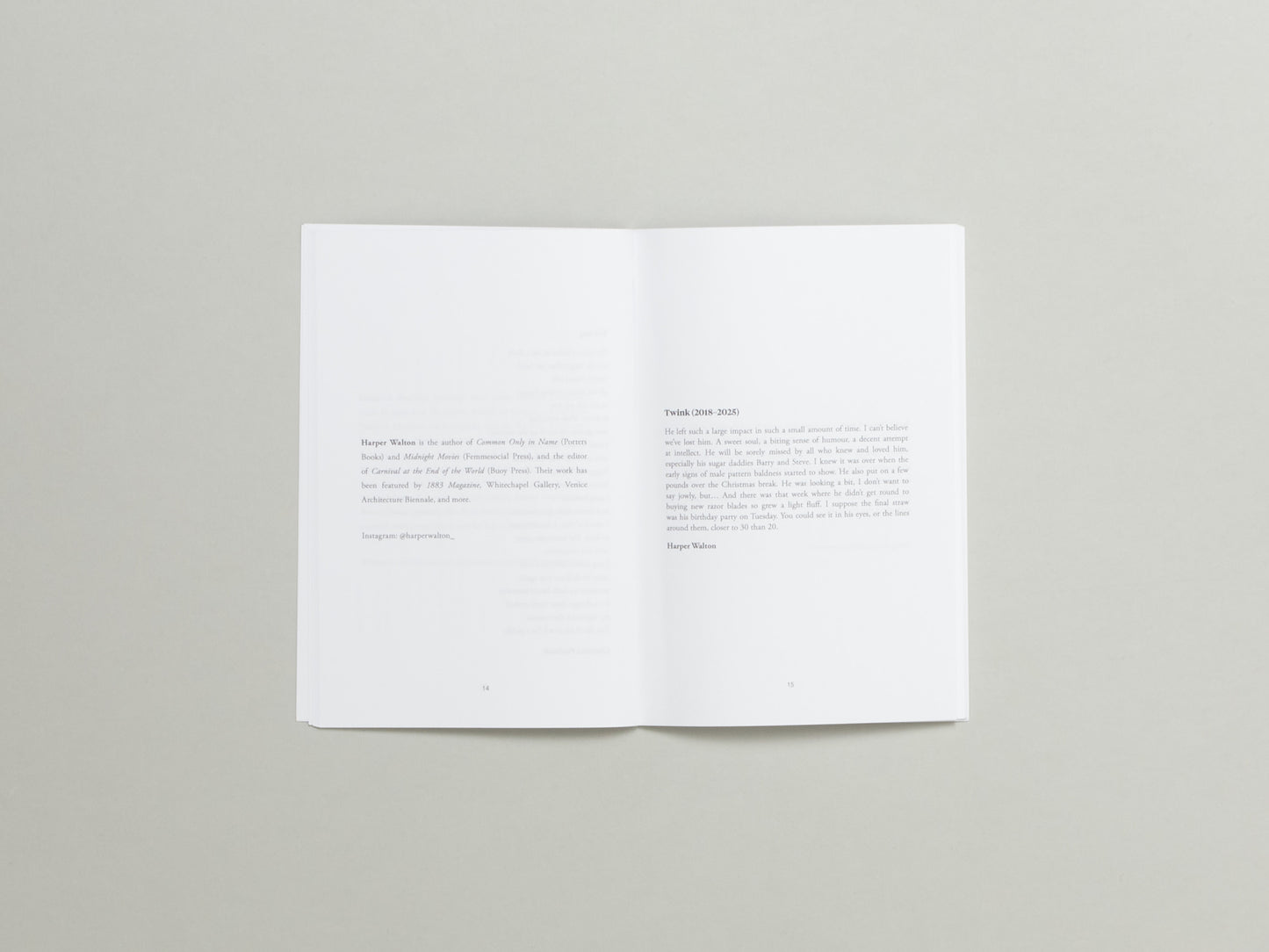 Fourteen Poems Issue 18