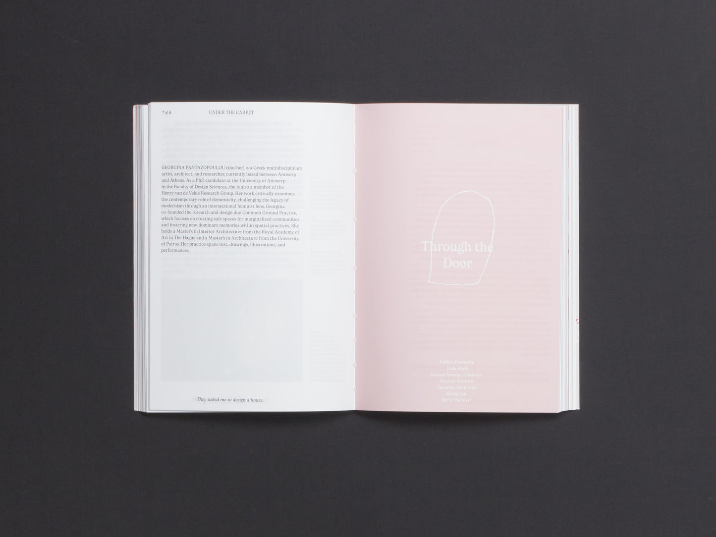 They Asked Me to Design a House, I Asked Them to Design a Home: Beyond the Architectural House. Reflections and Exercises on Domestic Life.