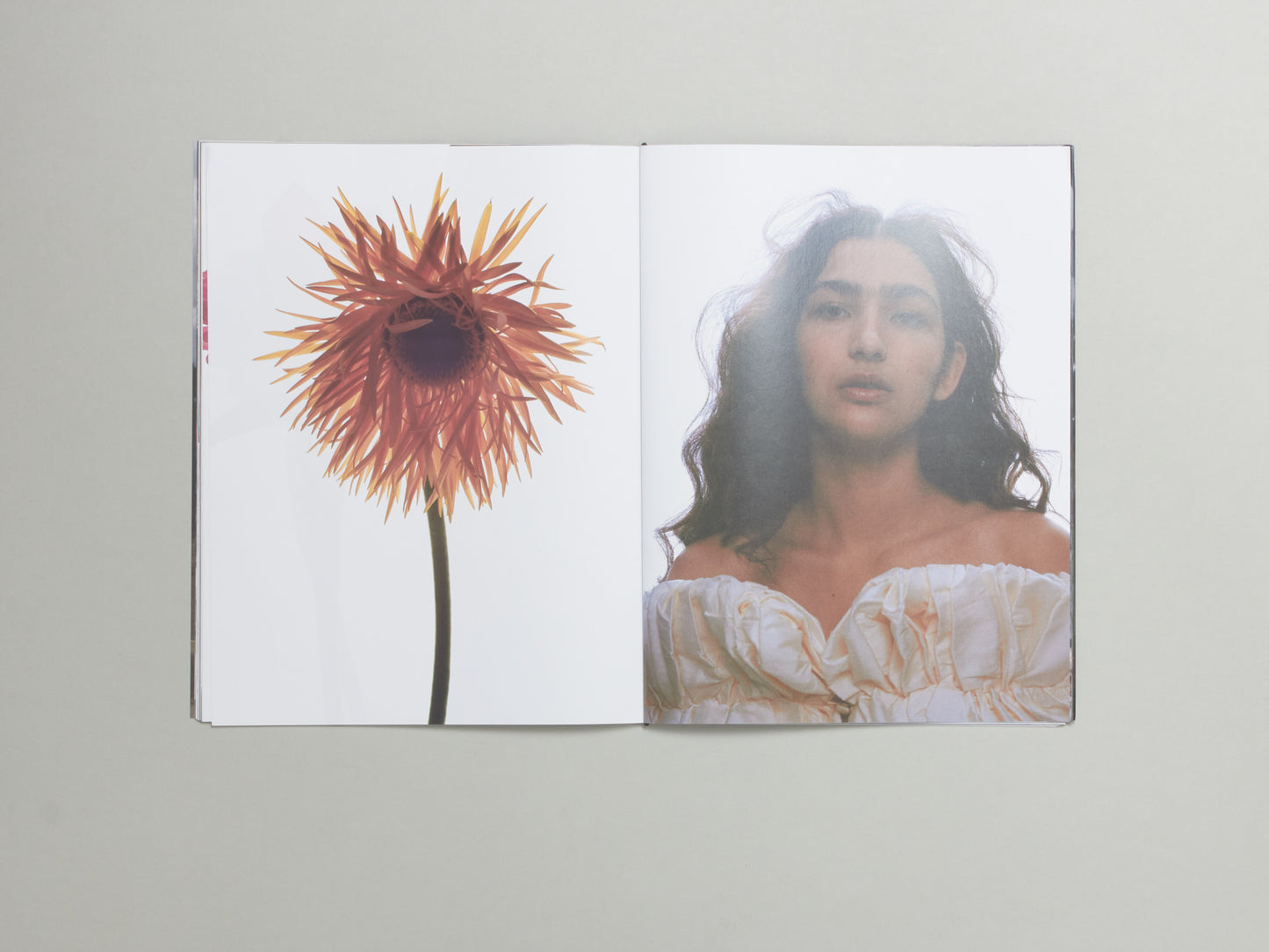Temple Magazine Issue 13: Botanics