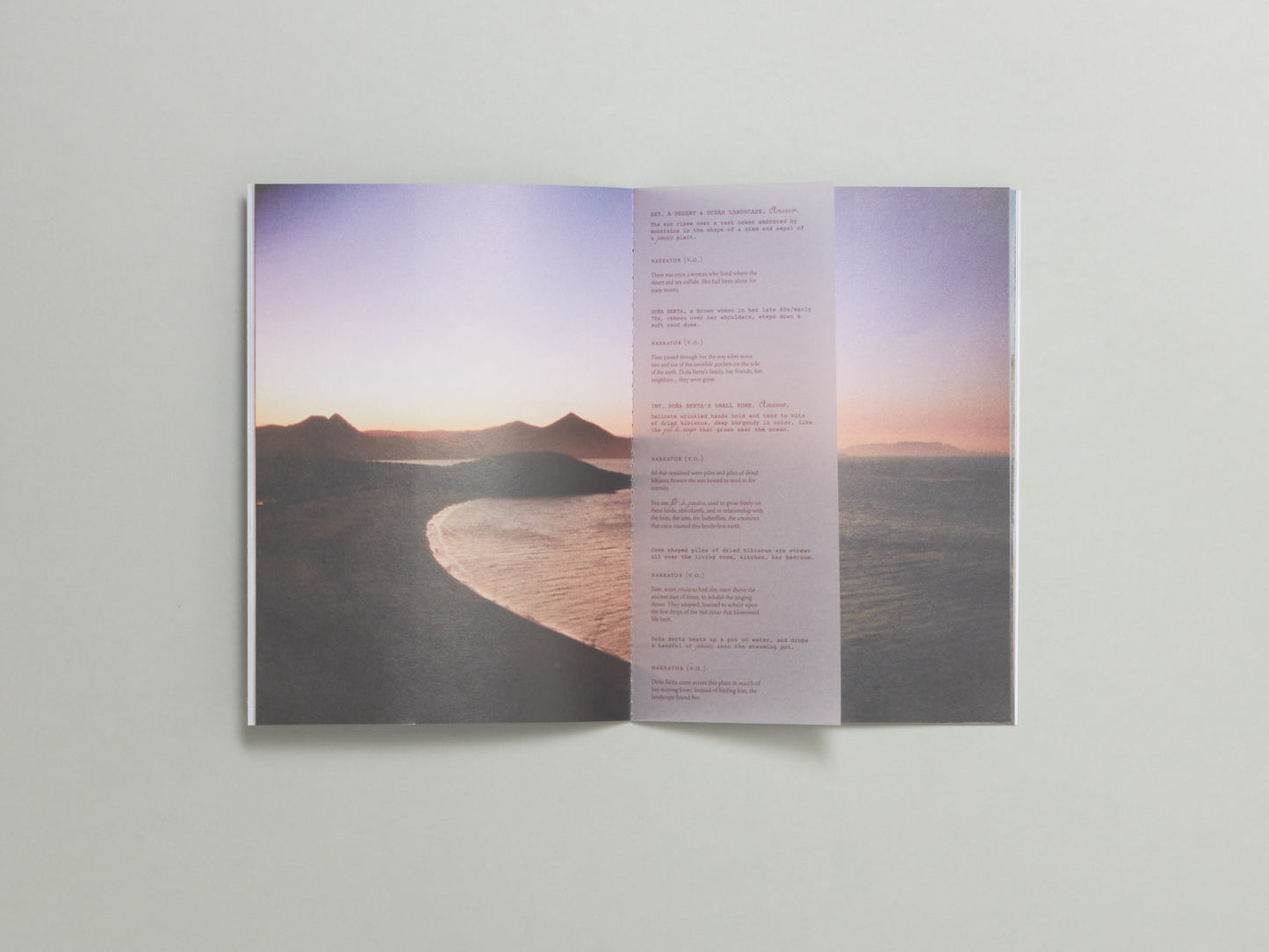 Jazmin Garcia, Flor de Jamaica