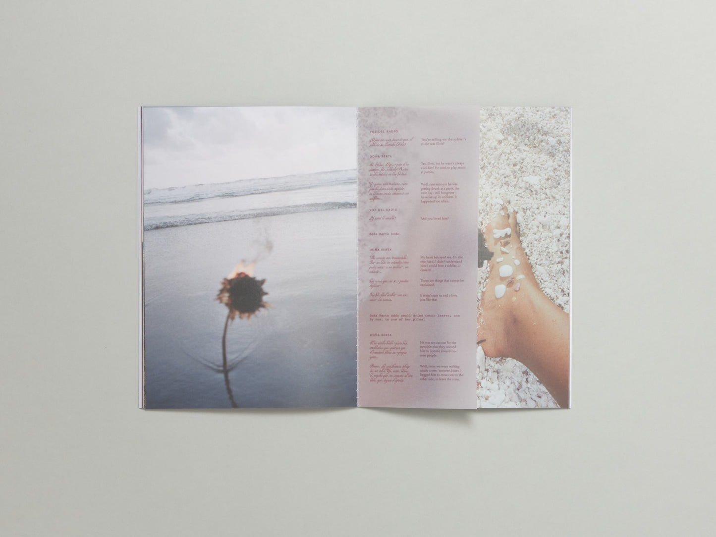 Jazmin Garcia, Flor de Jamaica