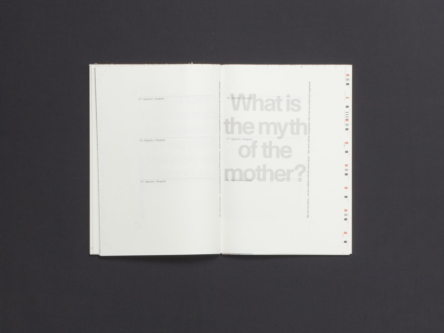 andrea ancira, Nina Hoechtl, Ana Victoria Jiménez, Cuaderno de Tareas / Work Planner