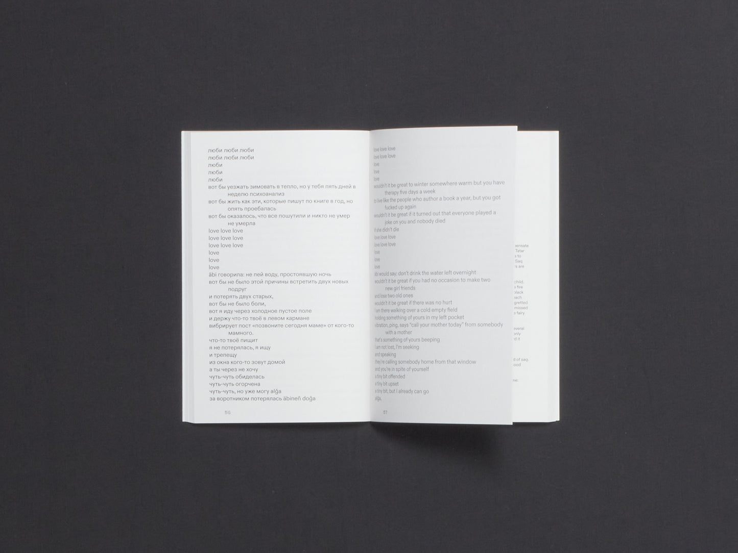 Dinara Rasuleva, Lostlingual