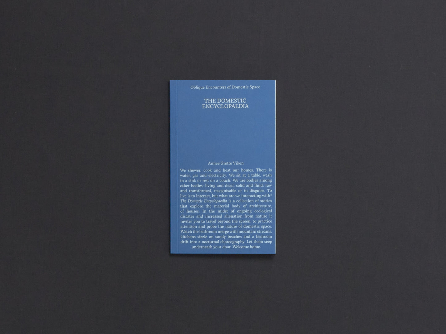 Annee Grøtte Viken, DOMESTIC ENCYCLOPAEDIA: Oblique Encounters of Domestic Space