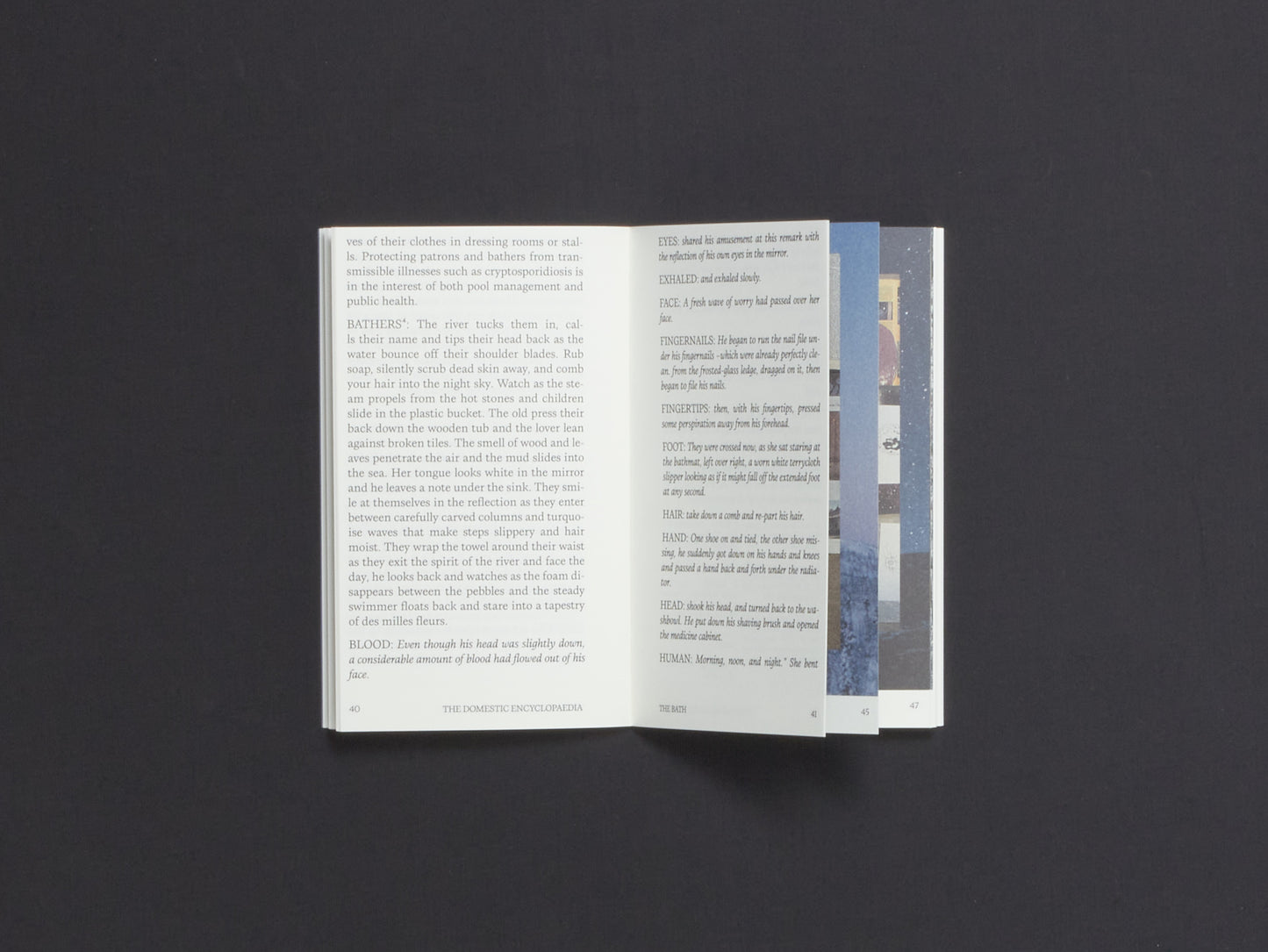 Annee Grøtte Viken, DOMESTIC ENCYCLOPAEDIA: Oblique Encounters of Domestic Space