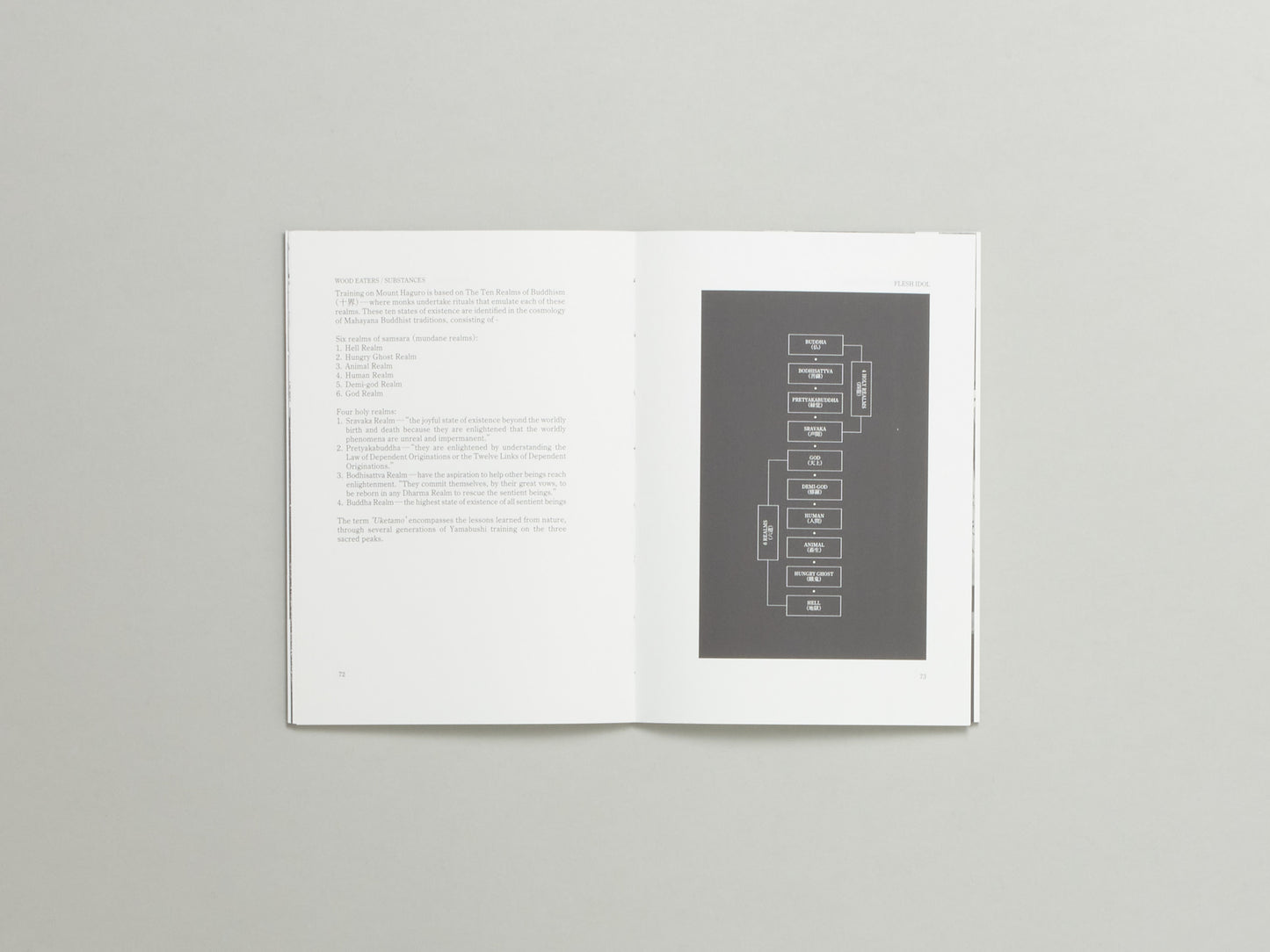 Flora Yin Wong, FLESH IDOL