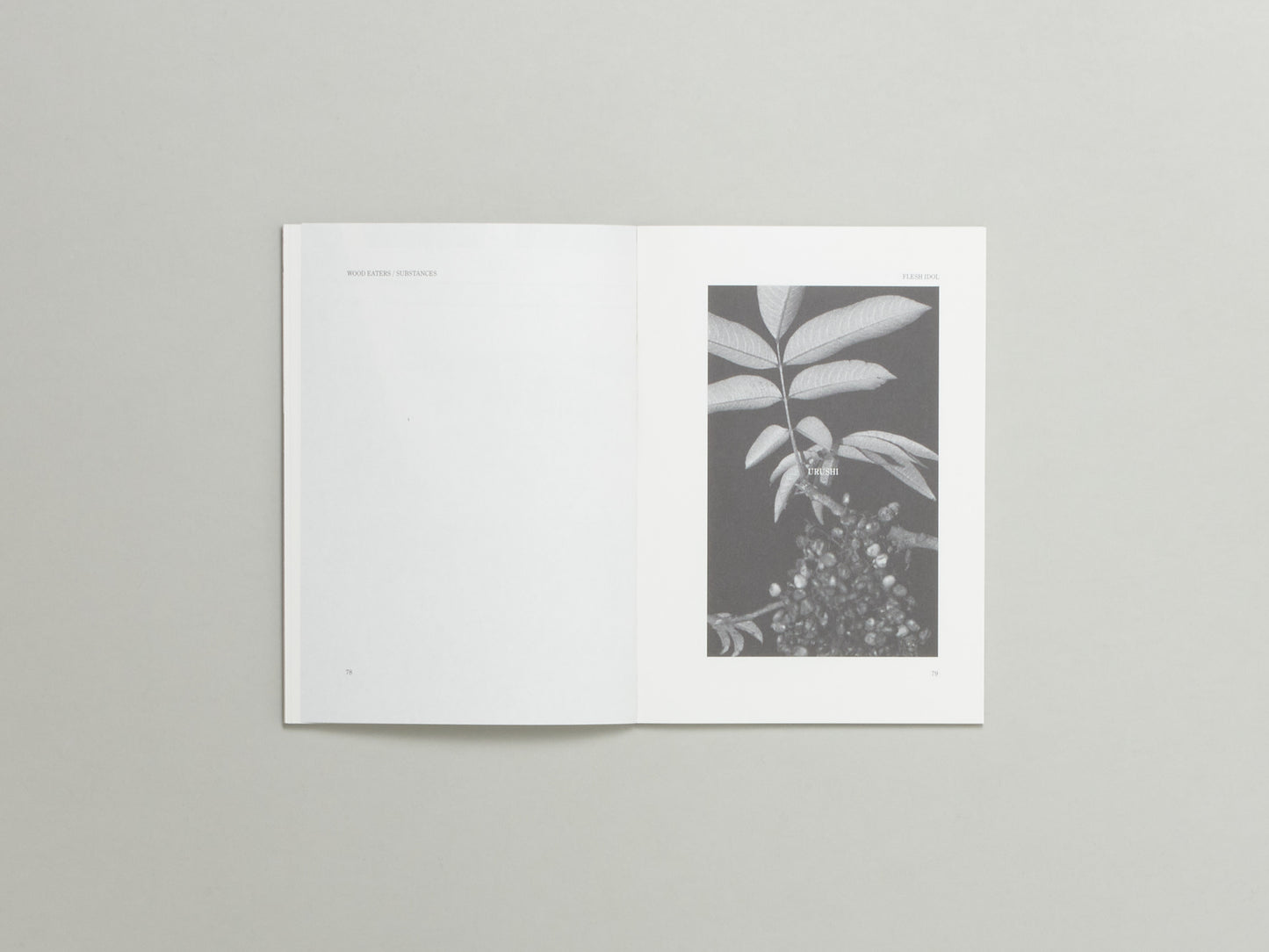 Flora Yin Wong, FLESH IDOL