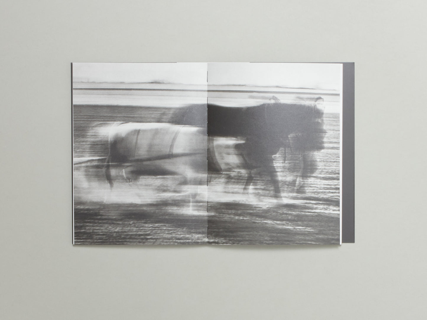 René Groebli, Magie der Schiene / Rail Magic