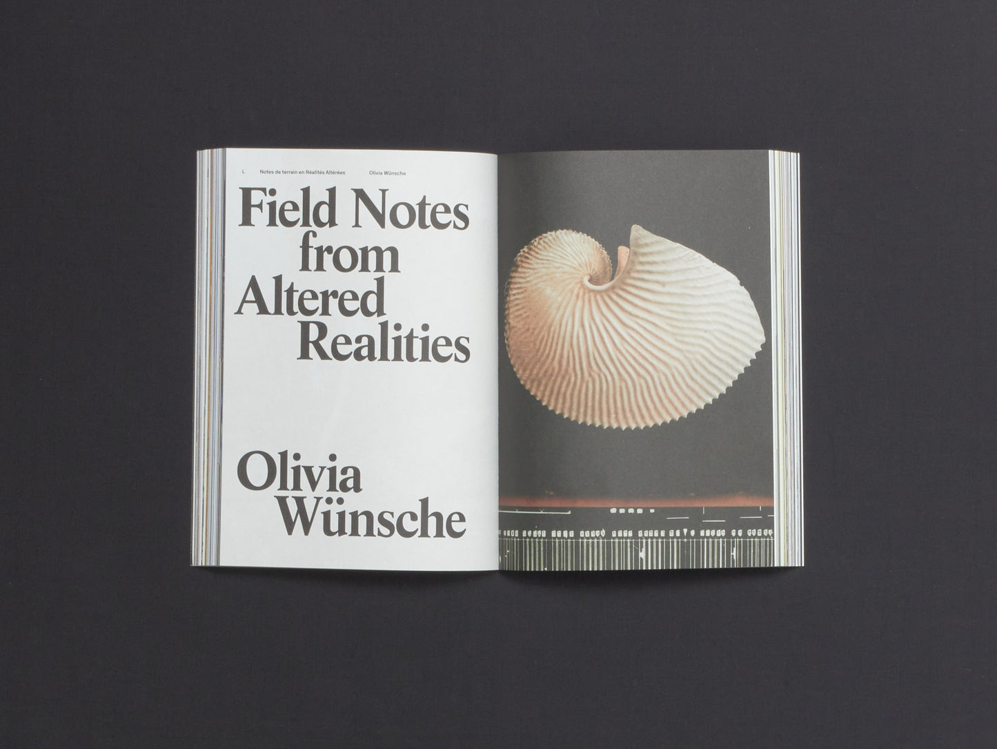 Acid Magazine, Issue 7: Waves of Consequences