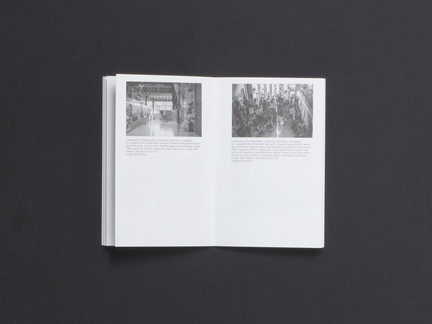 Paul O'Neill, Beyond Caring: Para-Hosting as Curatorial Escape