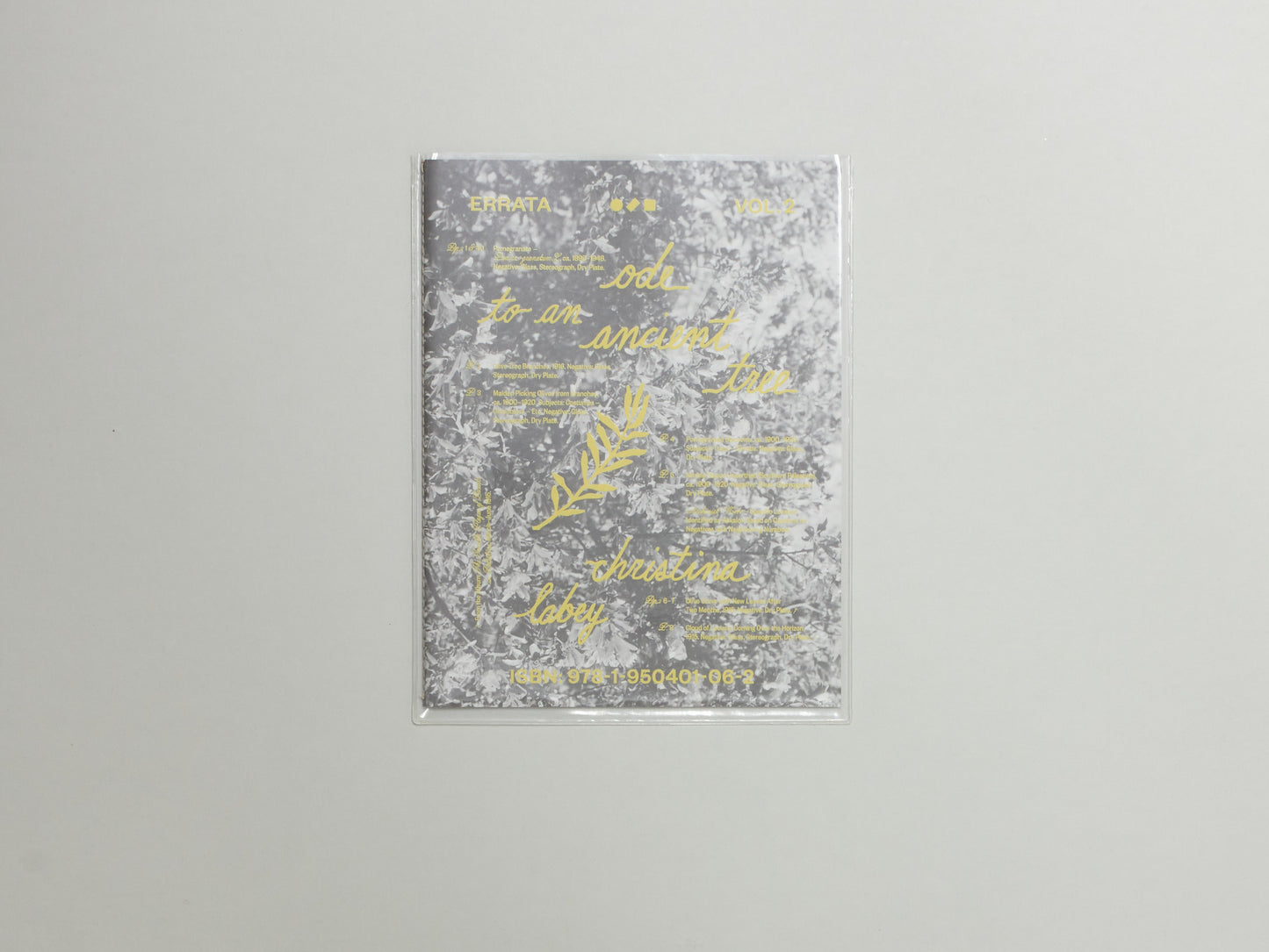 Christina Labey, Errata Vol 2: Ode to an Ancient Tree