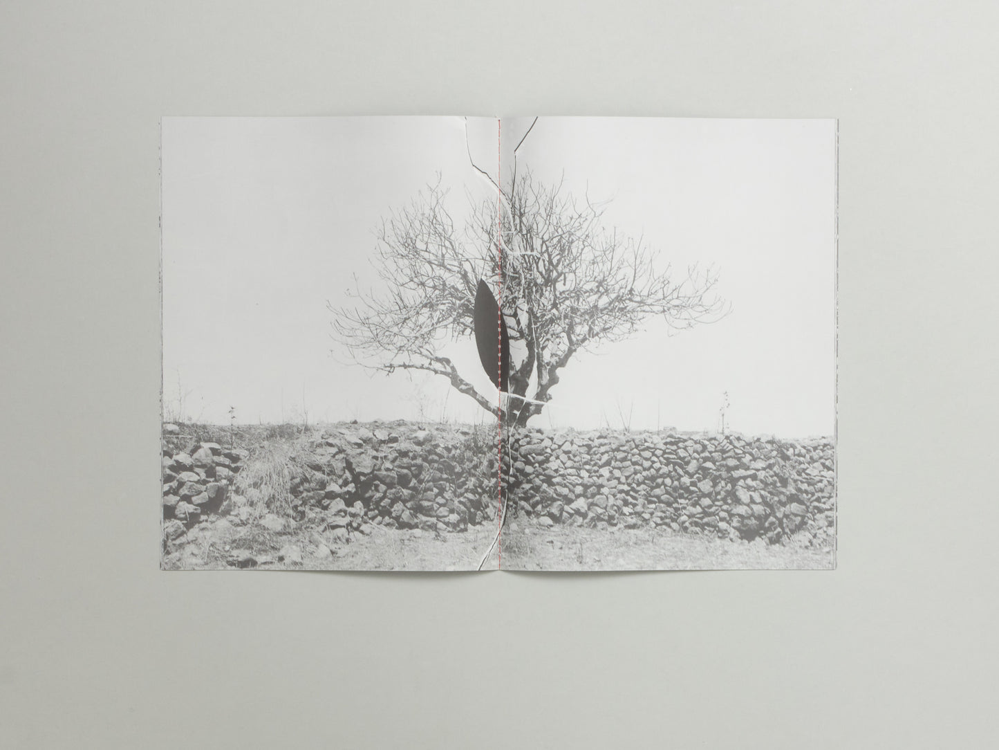 Christina Labey, Errata Vol 2: Ode to an Ancient Tree