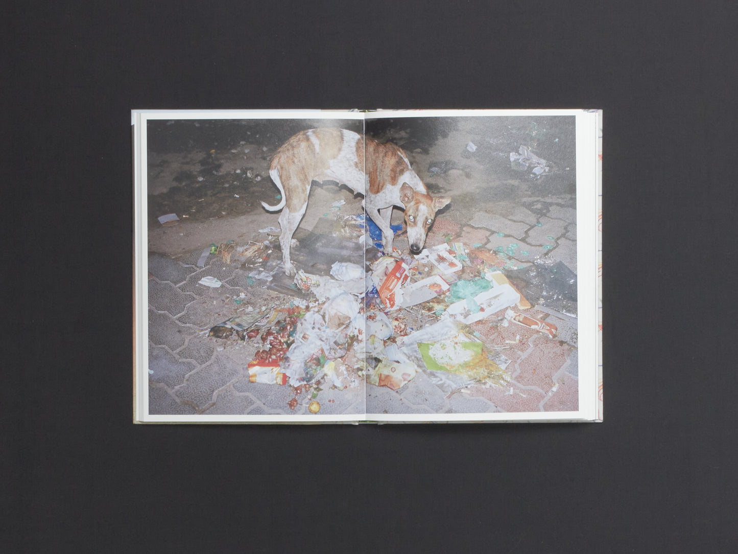 Albert Elm, This Much is True