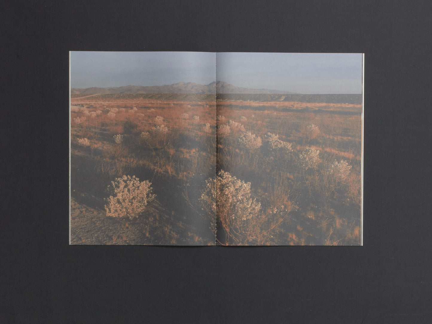 Justin James King & Leah Koransky, Errata Vol 3: Memory of Water