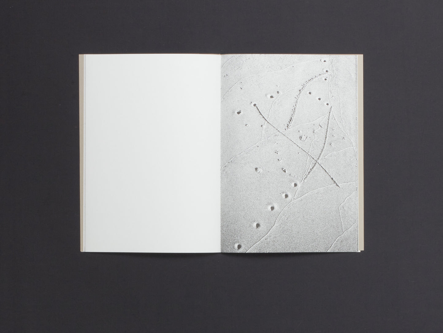 Ben K. Voss & Midge Wattles, IMPRINTS II