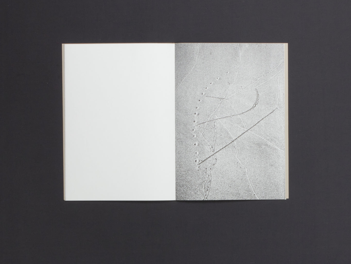 Ben K. Voss & Midge Wattles, IMPRINTS II